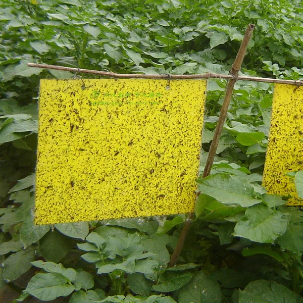 Пластиковые Желтые Липкие летающие ловушки, лидер продаж из Китая