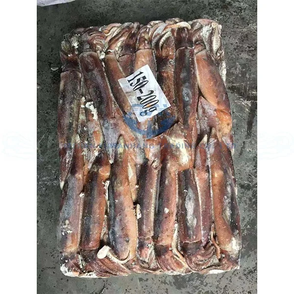
Seafood Frozen Jigger Illex Squid 