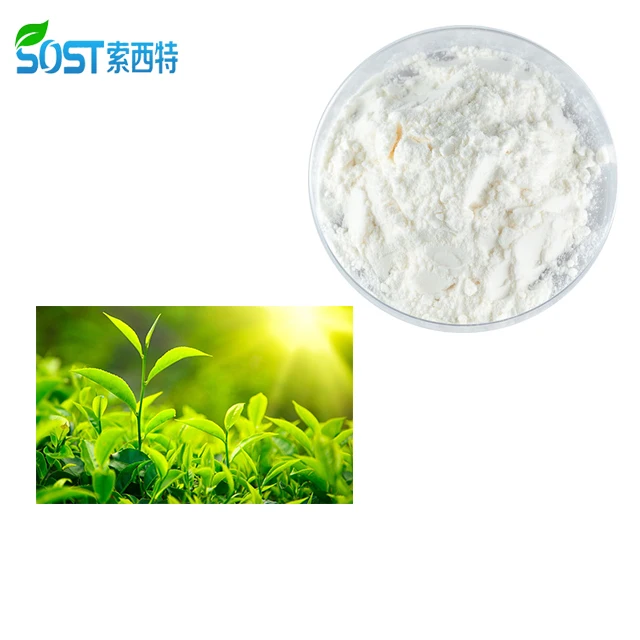 
EU Organic China Product Green Tea Extract EGCG 98% 
