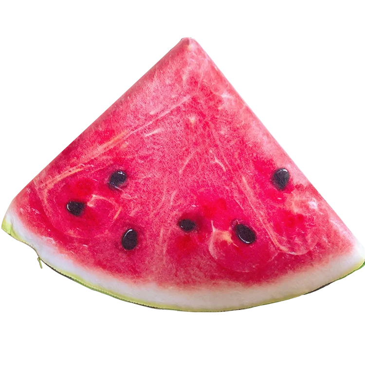 Factory direct supply 3D Print Fruit Cushion Throw Pillow decor throw pillow case cushion back support office cushion