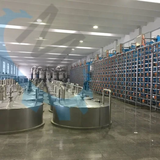 Meckey turnkey Lysine processing equipment with strain