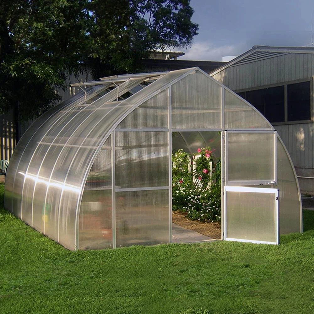 
Chinese style winter sunlight solar greenhouse for sale 