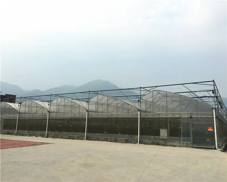 The Cheapest and Easily Installed Agricultural/ Commercial Green House