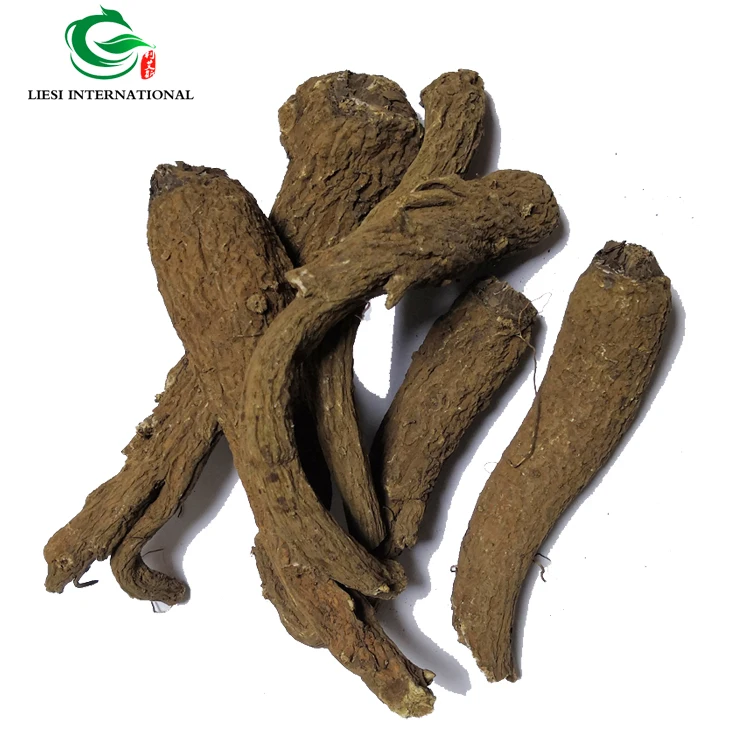 Травы для дизентерийного использования auckсоставлян костус