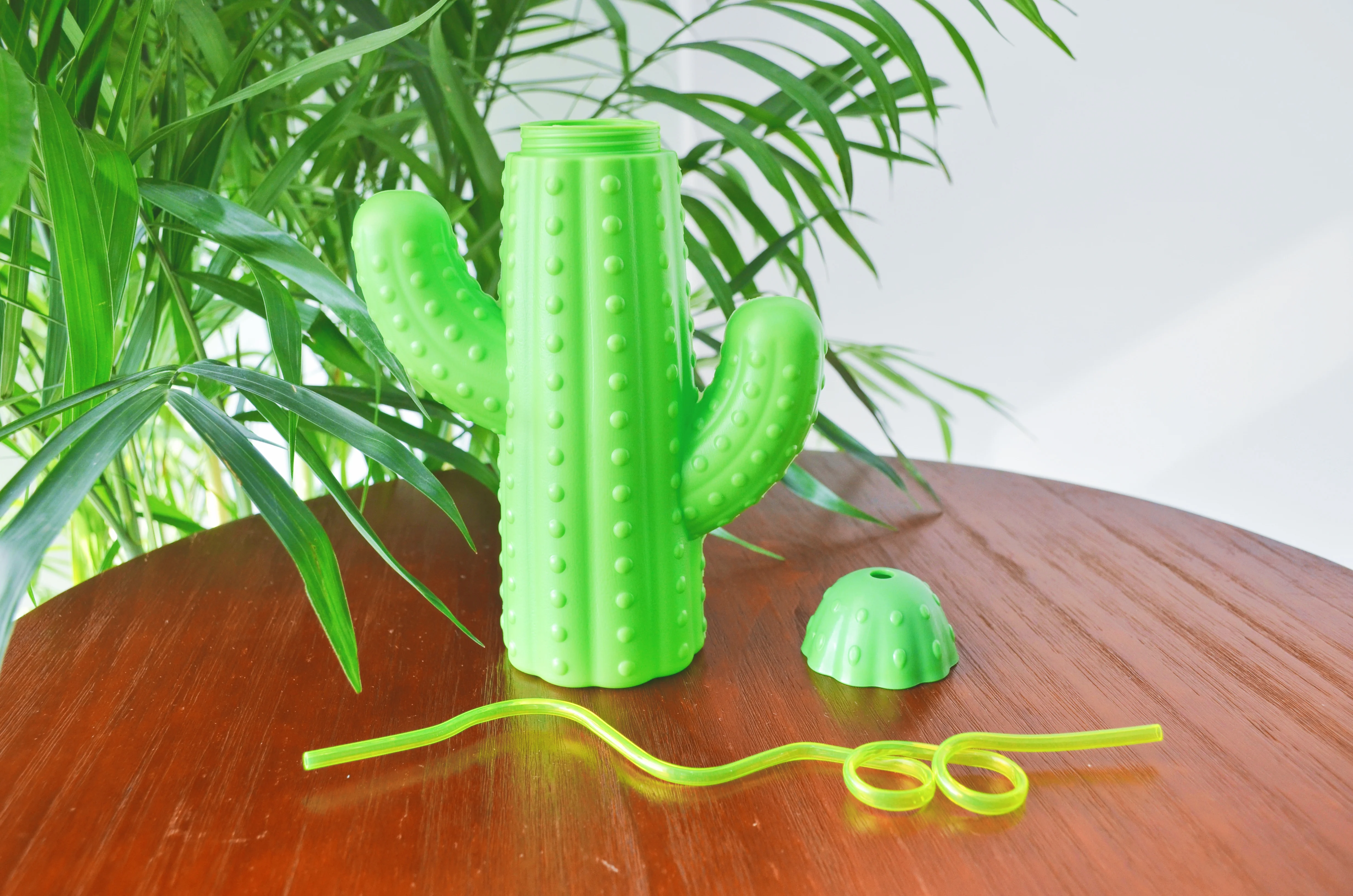 Creative Shape 550ML Cactus Shape Plastic Drinking Water Bottle With Straw