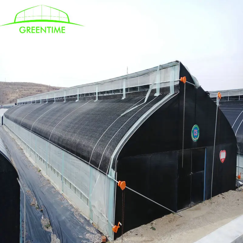 Commercial plastic greenhouse mushroom farm plastic greenhouse of agriculture equipment