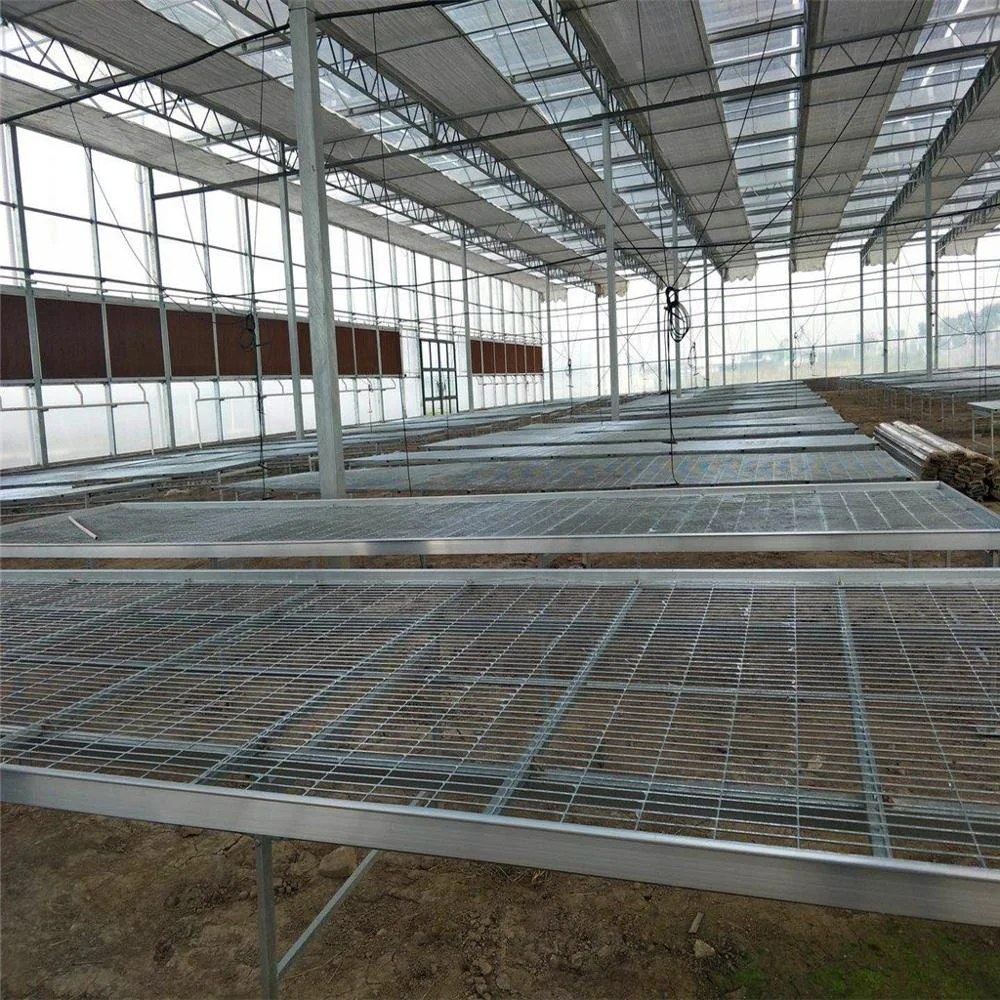 Greenhouse Plant Nursery Equipment Movable Grow Table Seedbed Greenhouse Rolling Benches