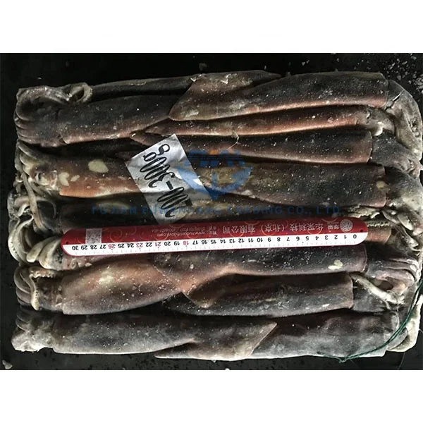 
Seafood Frozen Jigger Illex Squid 