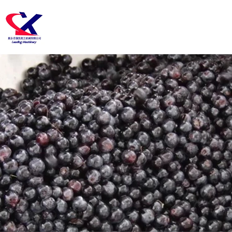 High Efficiency Peristaltic Infusion Pump used to Transport whole grape berries to Fermentation Tank Less Damage