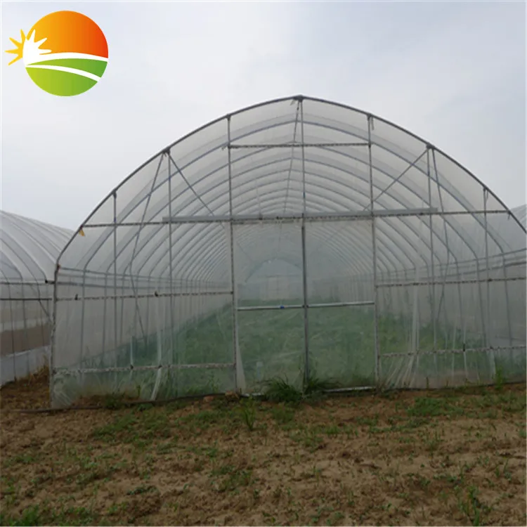 excellent quality mini greenhouse small tunnel greenhouse