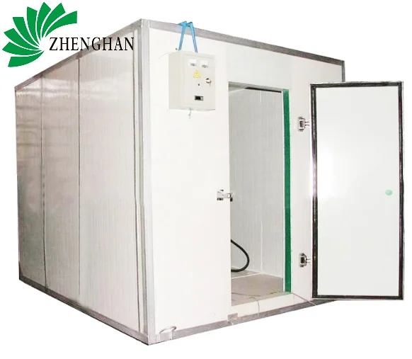 vegetable and fruits cold storage room by china supplier