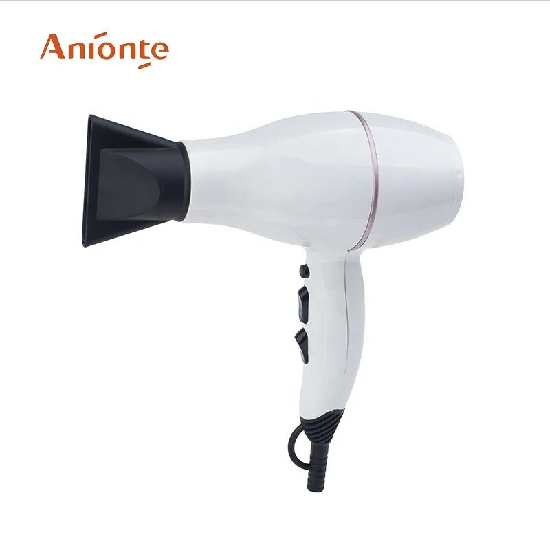 Mute function Mini professional AC motor Hair Dryer
