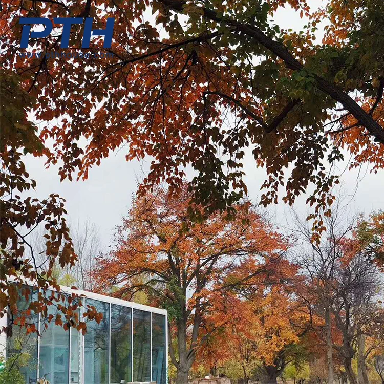 PTH cheap easy to install steel structure house