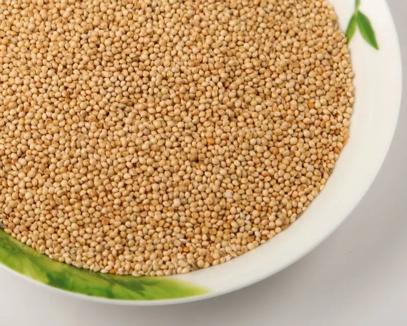 
Yellow millet 