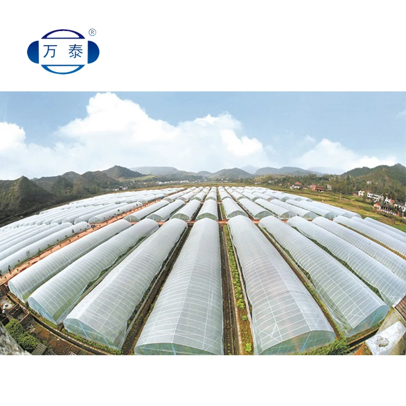 Gold Supplier top quality agriculture plastic shed farm film