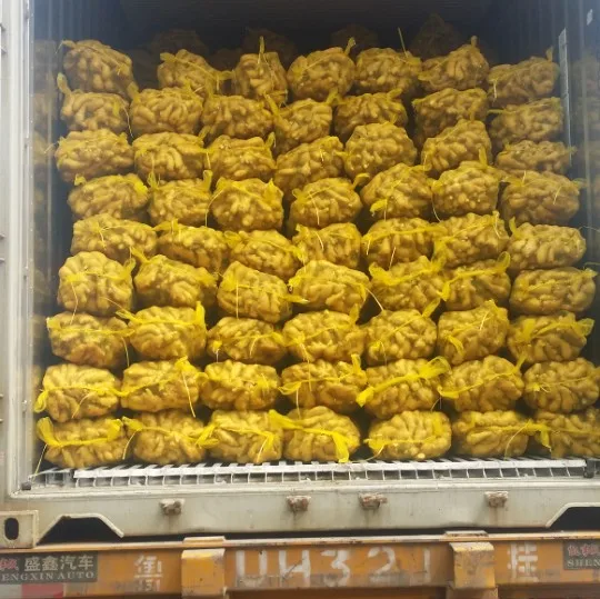 
Fresh ginger specification 