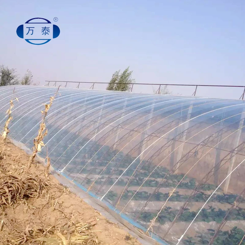 Gold Supplier top quality agriculture plastic shed farm film