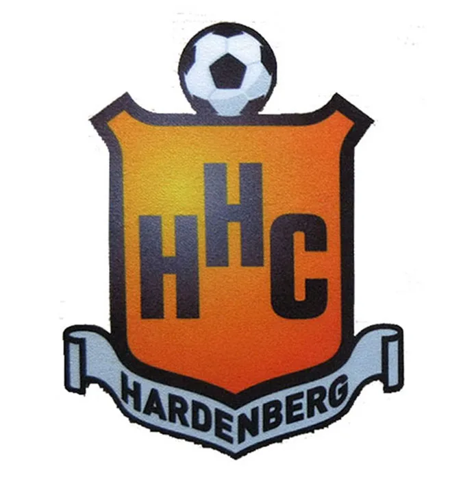 
Simple eagle picture conversion vector service 