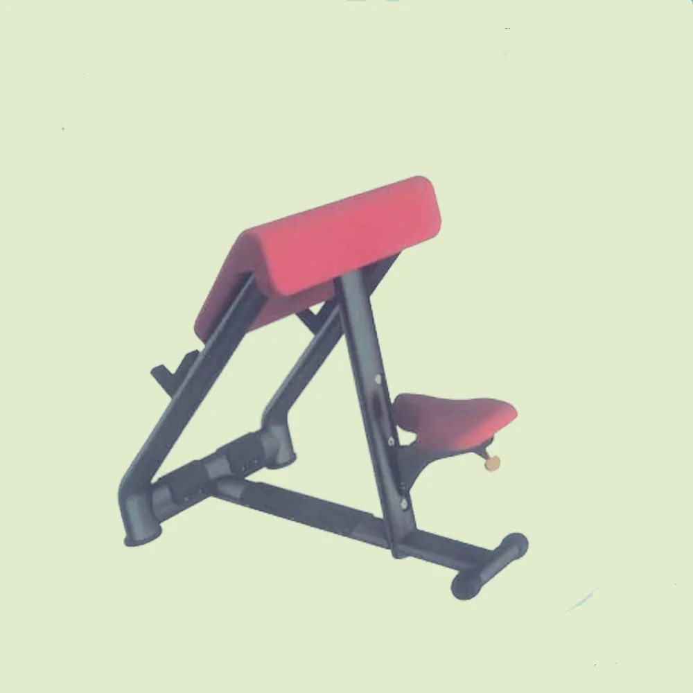 biceps benches Sports Equipment/Gym Commercial Machines for Body Building