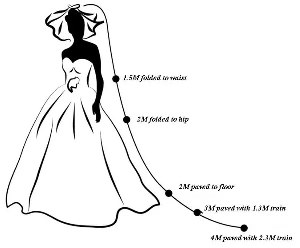 ZH1722Q Charming Bridal Veils Cathedral Length lace Applique With Combs Bride Wedding Veils Hair Accessories