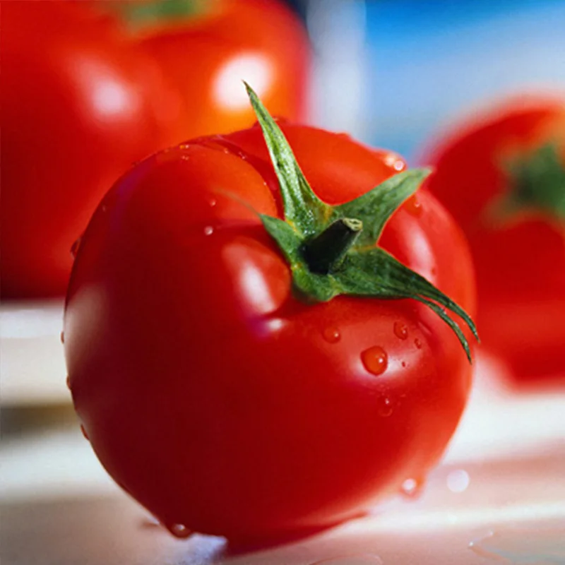 Круглая форма сильный рост семена гибридного помидора для продажи