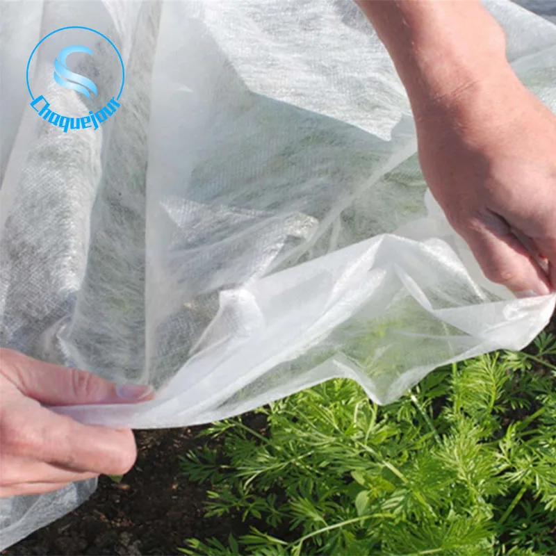 20gsm полипропилен сельское хозяйство нетканые ткани защиты Зеленый завод