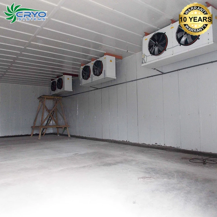 Vegetables Fish Food Quick Shock Freezer Equipment for Black Rose Plants Lobster Frozen Chicken Meat