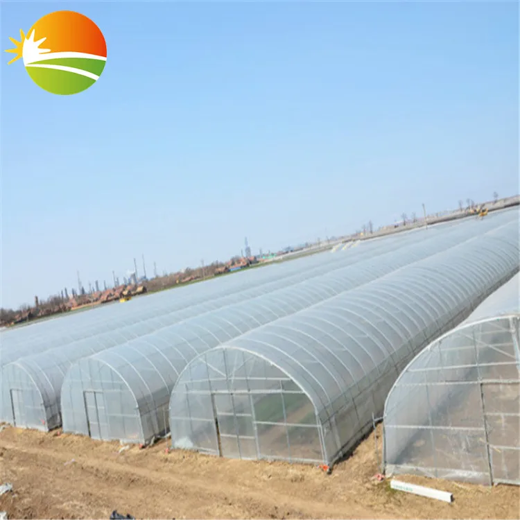 excellent quality mini greenhouse small tunnel greenhouse