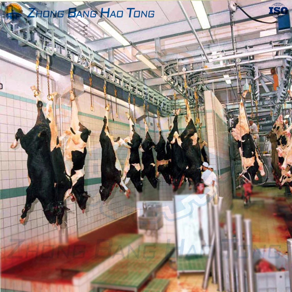 Professional Cow Slaughtering equipment Cattle bleeding line