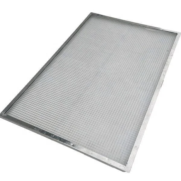 Customized 304 Stainless steel wire mesh tray for drying the fruit