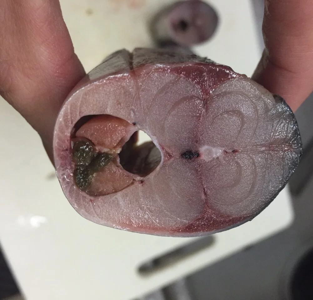  Замороженная круглая китайская рыба замороженная японская скумбрия для маркетинга продажи из
