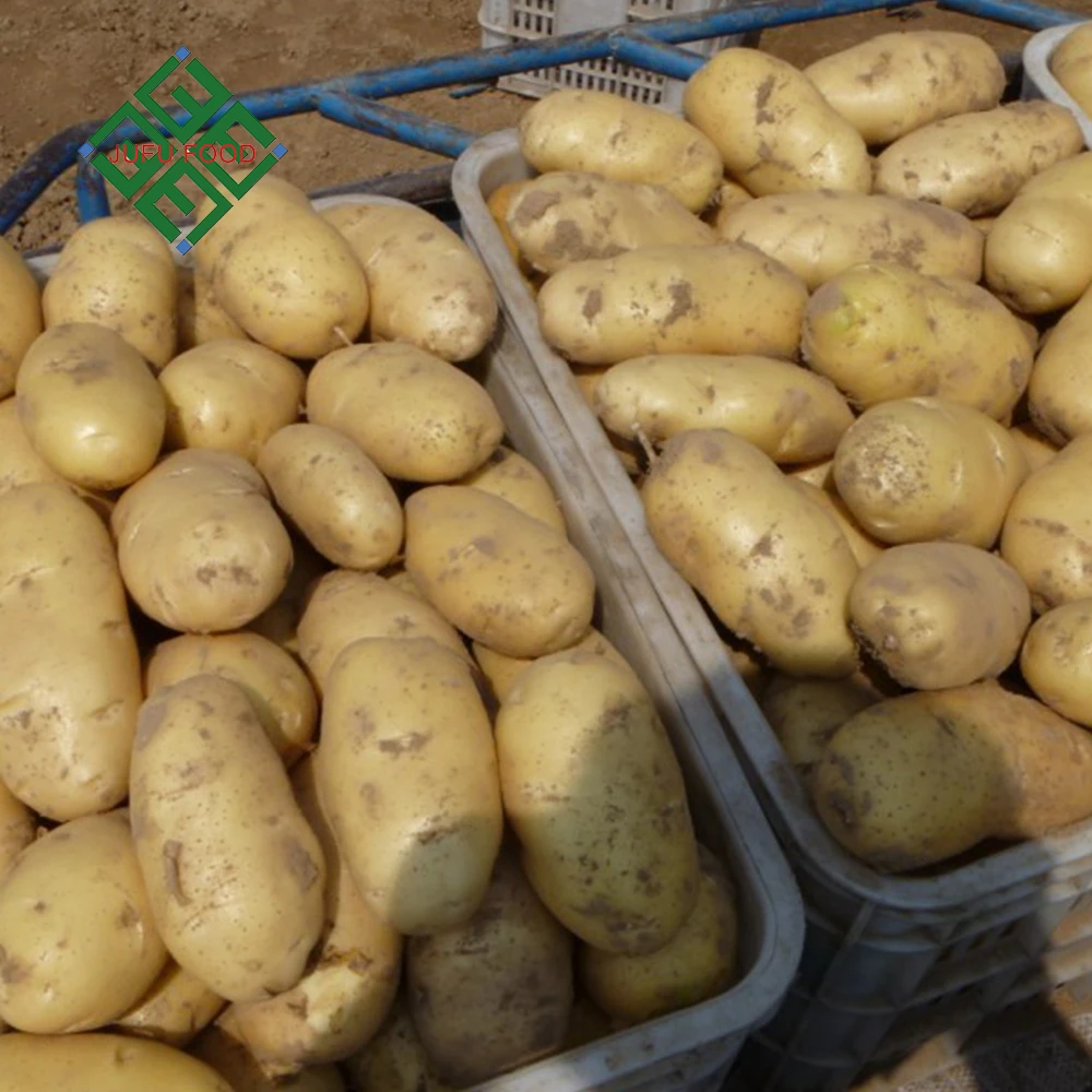  Китайский новый урожай 2019 свежий картофель по хорошей цене