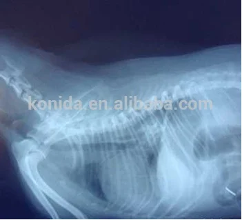 
KND-A/F digit imaging fuji film x 10 used in thermal printer for Medical Diagnosis 