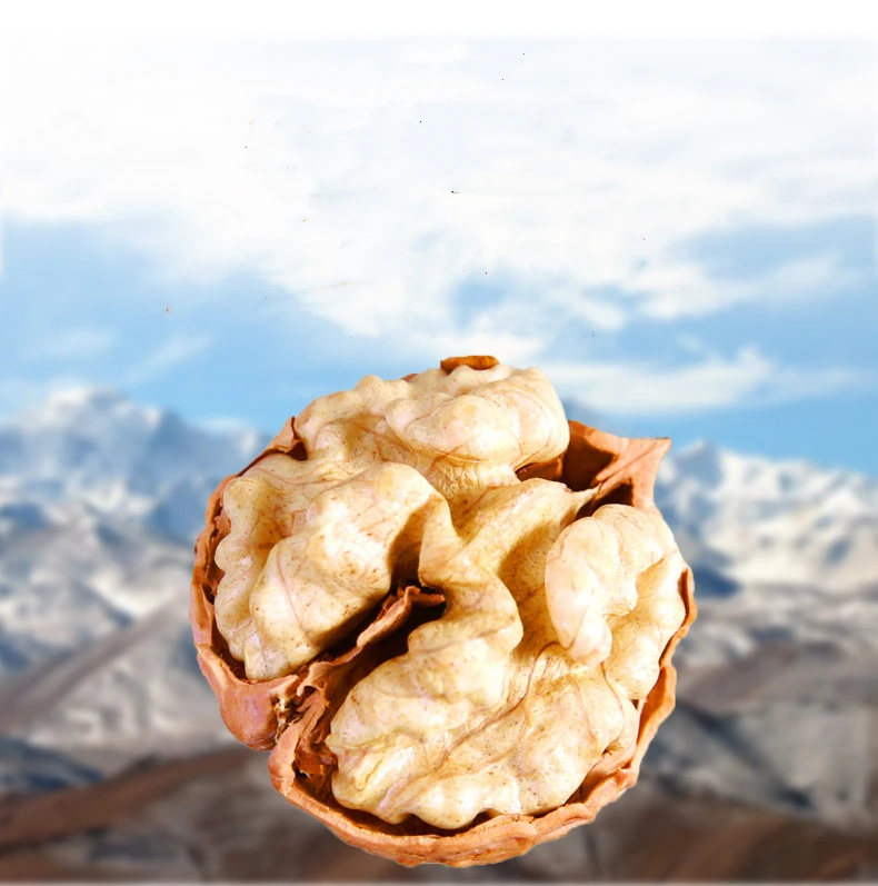 HACCP Certification and Food Use Bulk Walnuts