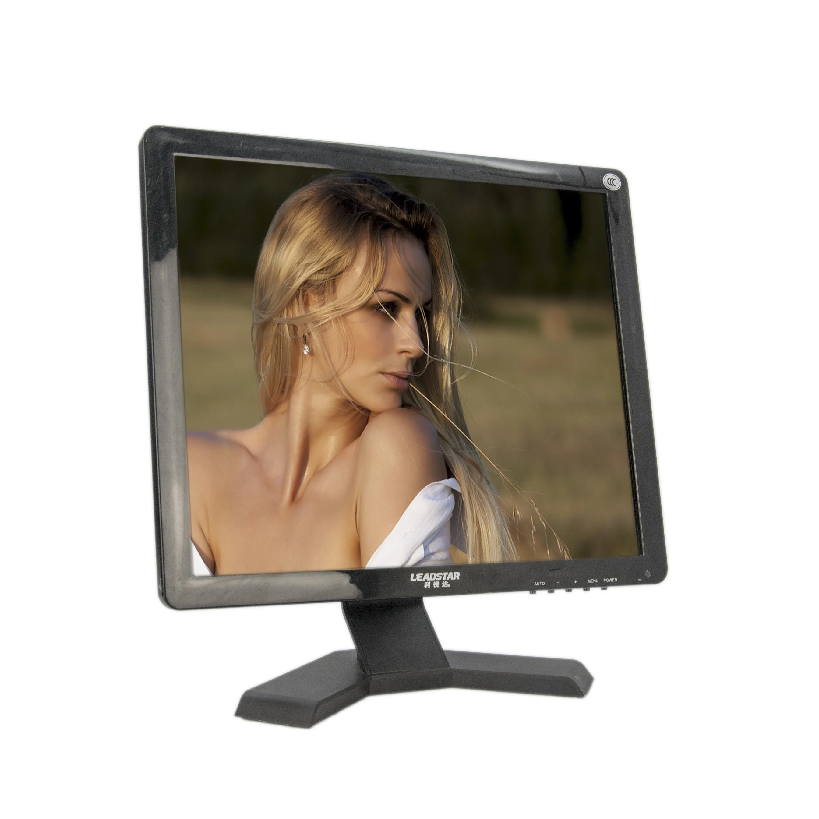 Шэньчжэнь Оптовая продажа с фабрики портативный цифровой ТВ 17 1080 ЖК поддержка дюймовый рекламный монитор P