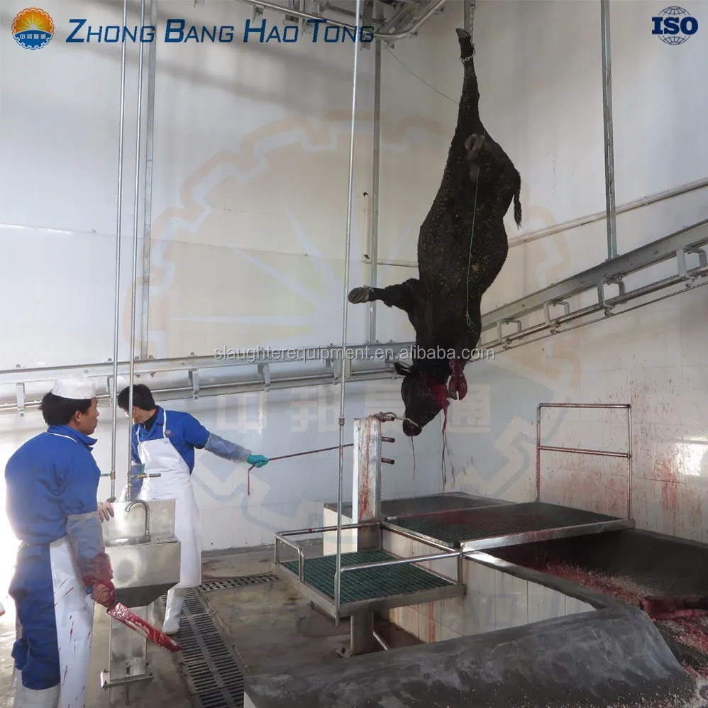 Professional Cow Slaughtering equipment Cattle bleeding line