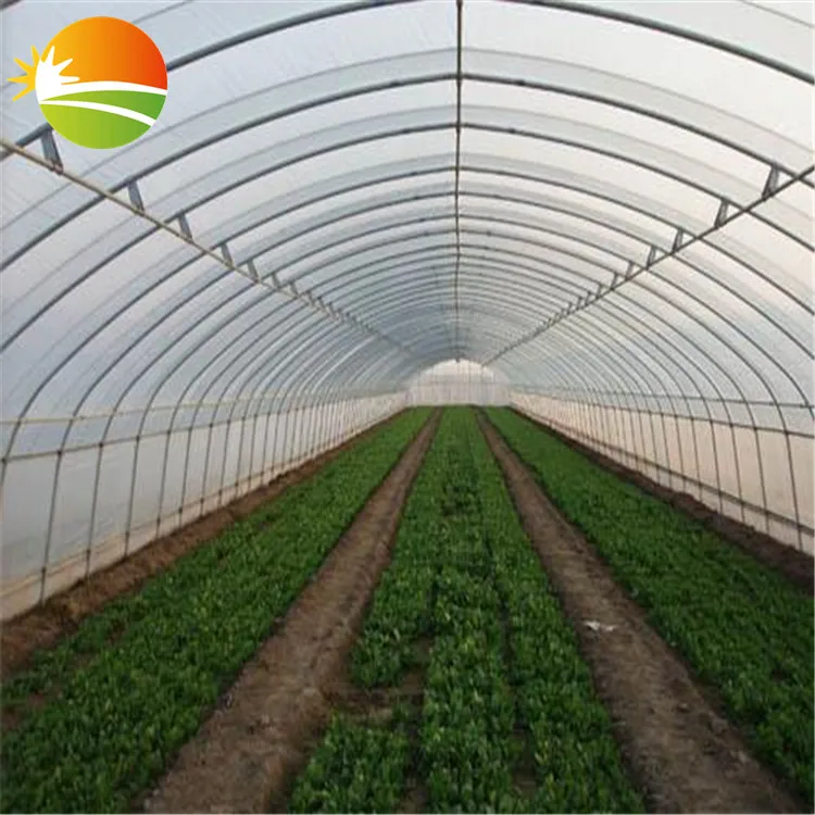 excellent quality mini greenhouse small tunnel greenhouse