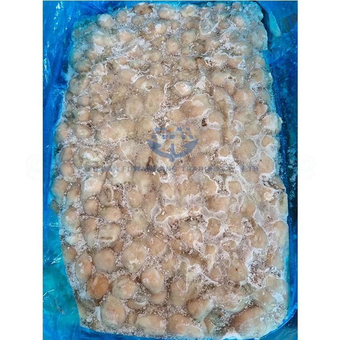 
Frozen Squid Mouth Giant Squid Beak for processing 