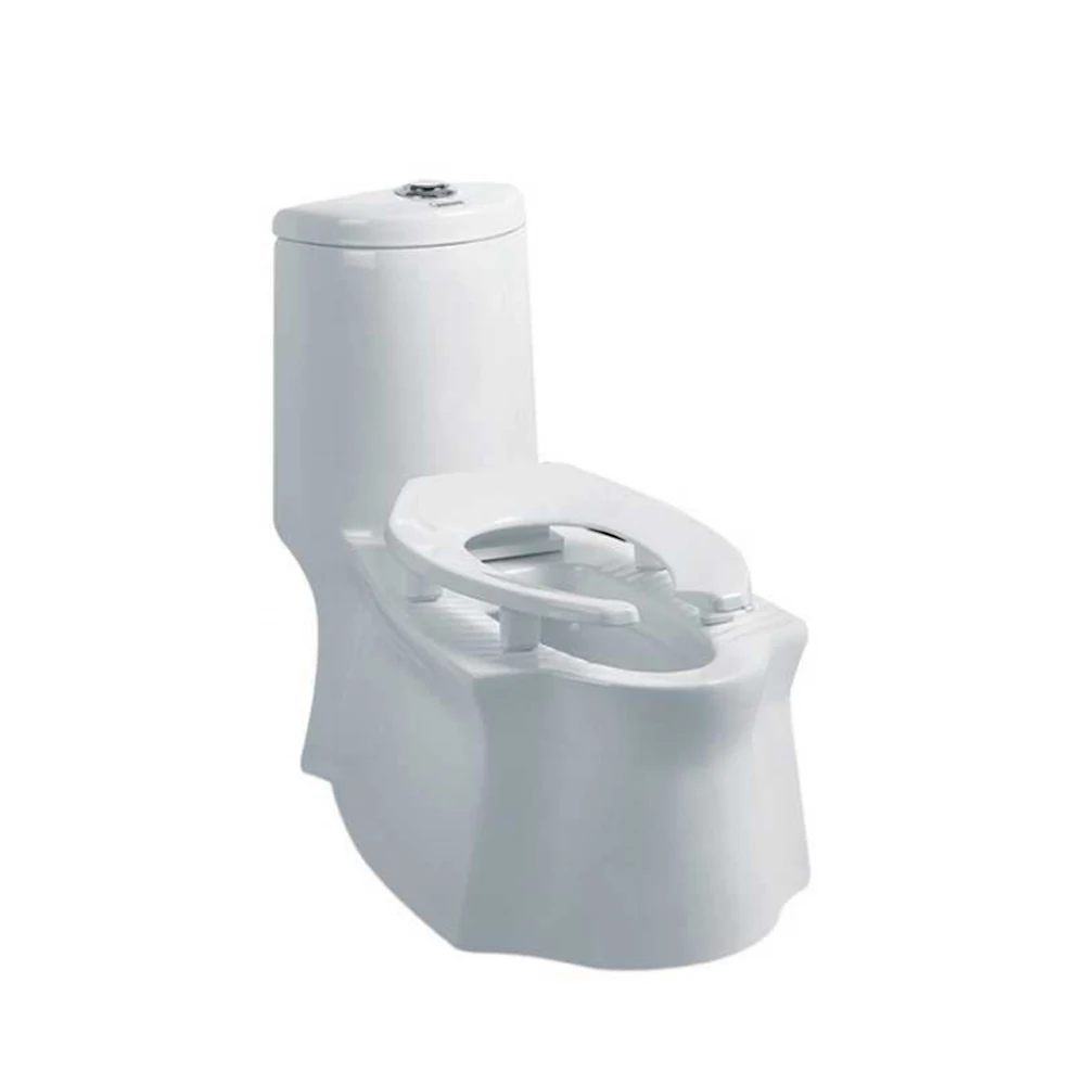 Two Use Functional Toilet Bowl Foshan Public Cera Chinese for Hotel for Home One Piece Porcelain Ceramic,ceramic Floor Mounted