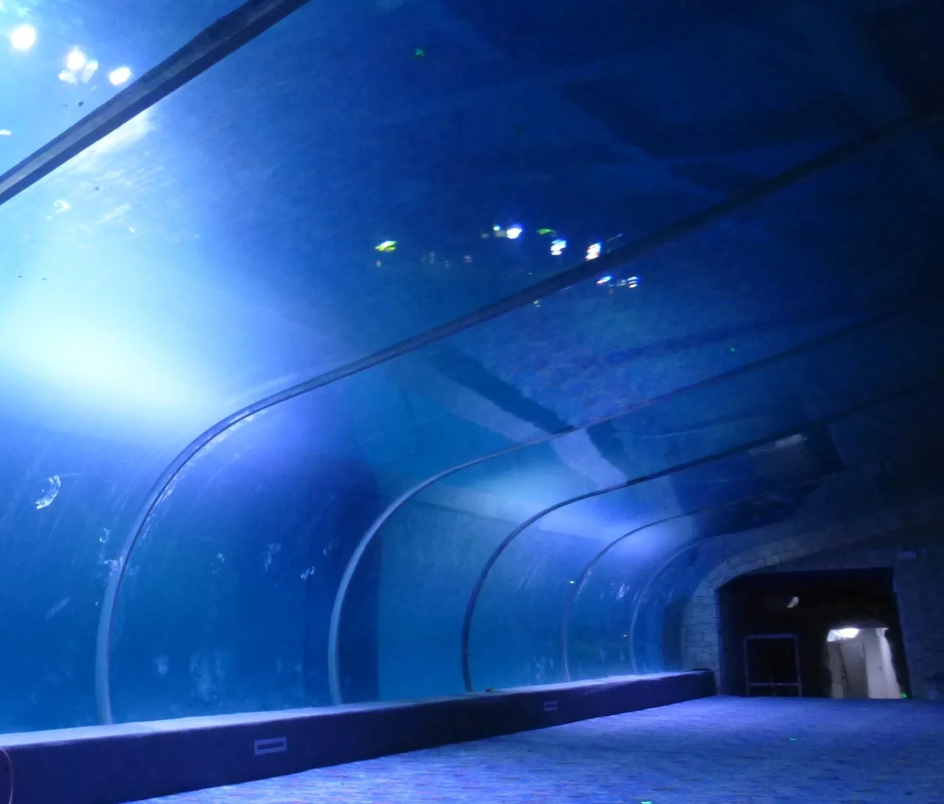  Изогнутый акриловый аквариум с акриловым листом