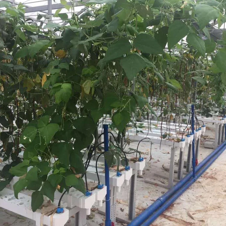  Хит продаж системы гидропонного выращивания