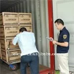 China pre-shipment Container Loading Supervision  Quality Control And Pre Shipment Inspection service