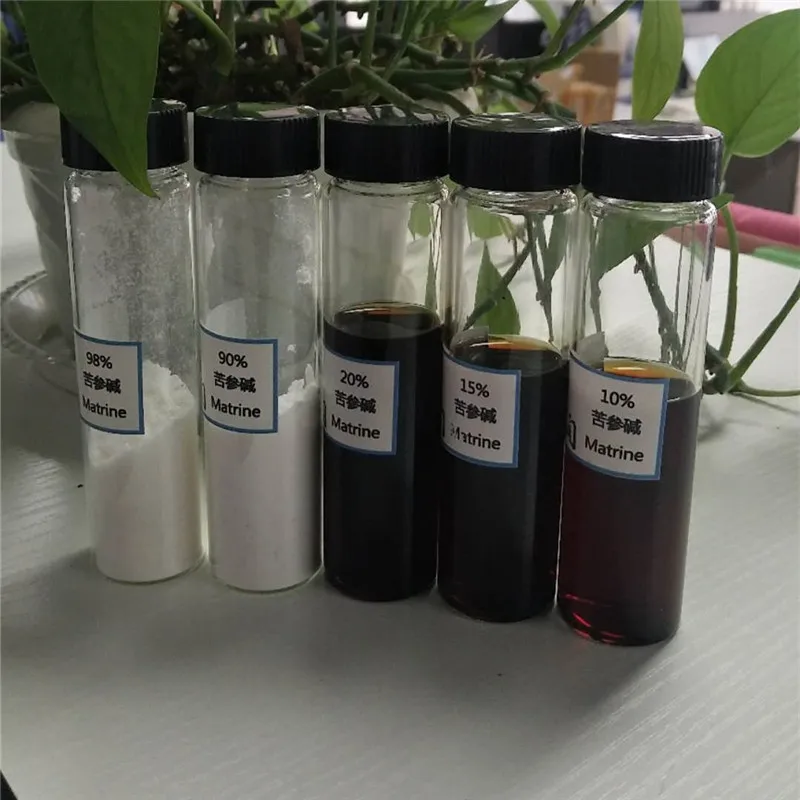 
Medical Grade natural matrine extraction CAS 519-02-8 matrine 98% off white needle crystal powder 