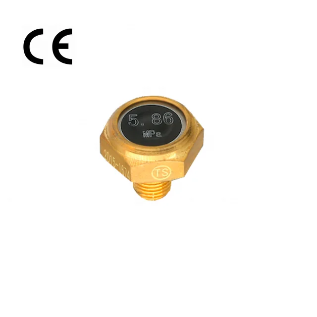 SS316 Nonmetallic type Blasting Bursting Discs Rupture disc Rupture disk for medicine food gas industry