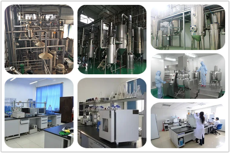 
Top quality epimedium extract epimedium extract icariin epimedium macun 