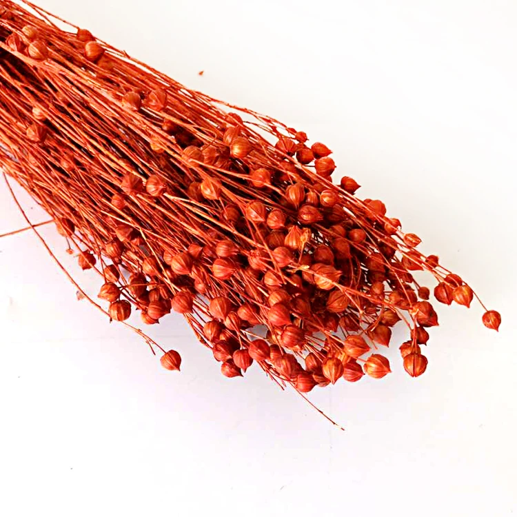 
Bulk Dried Flowers Purple Preserved Flower Dried Flower 