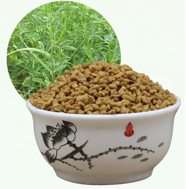 
S268 Luba Zi pure Natural Chinese Herb fenugreek seed for sale 