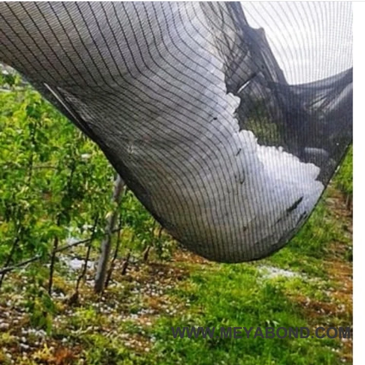 leno weaving anti hail net for Serbian orchard farm