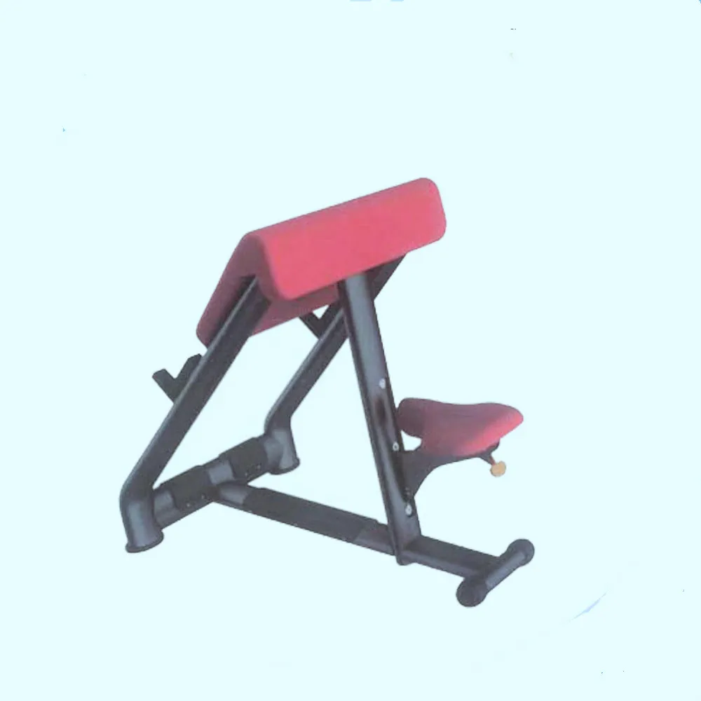 biceps benches Sports Equipment/Gym Commercial Machines for Body Building