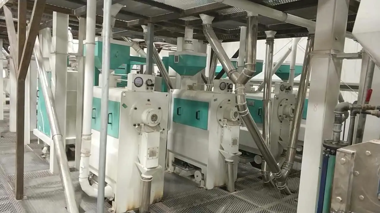 Win Tone бобы пилинг линия импульсов пилинг растение